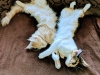 IMG-20180710-WA0000